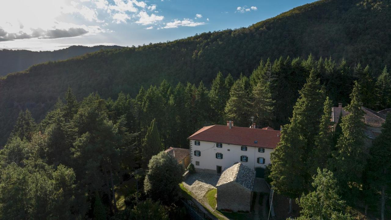 Villa La Rassinata 12, Emma Villas Arezzo Exteriör bild